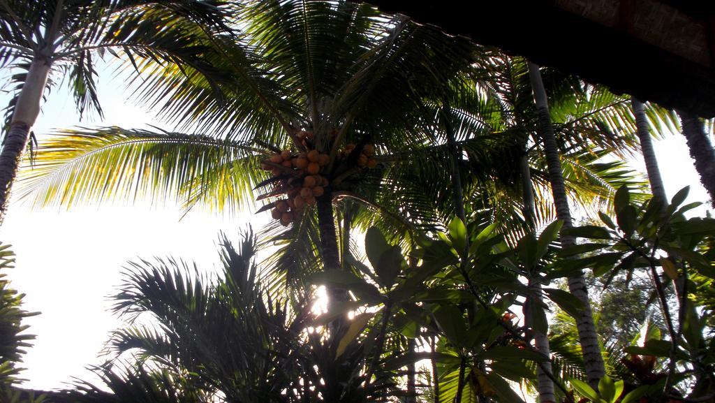 Bella * Ubud