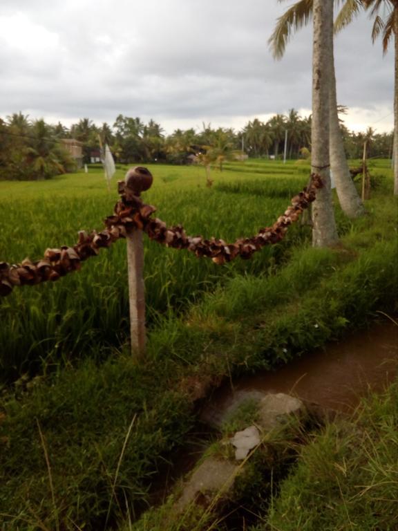 Villa Bella Ubud