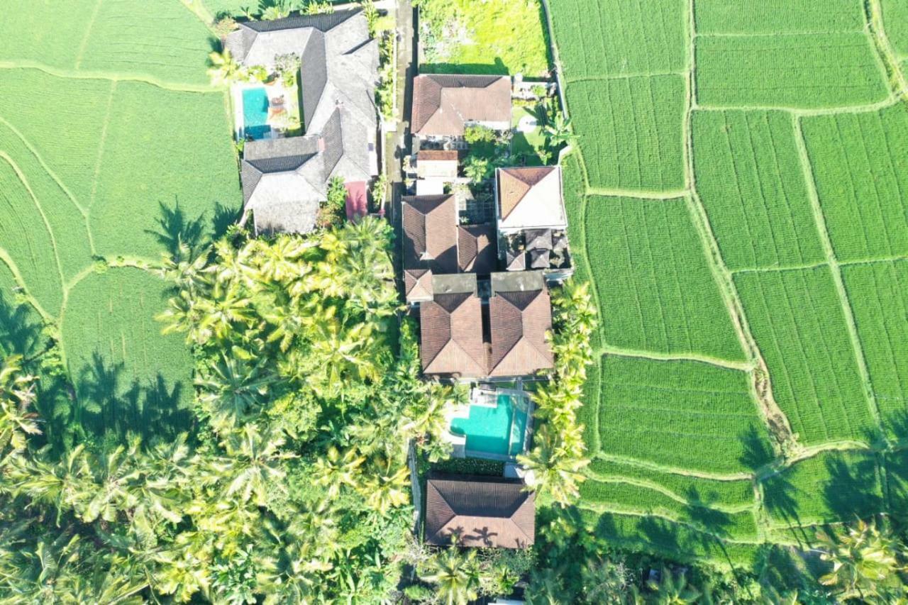 Bella Villa