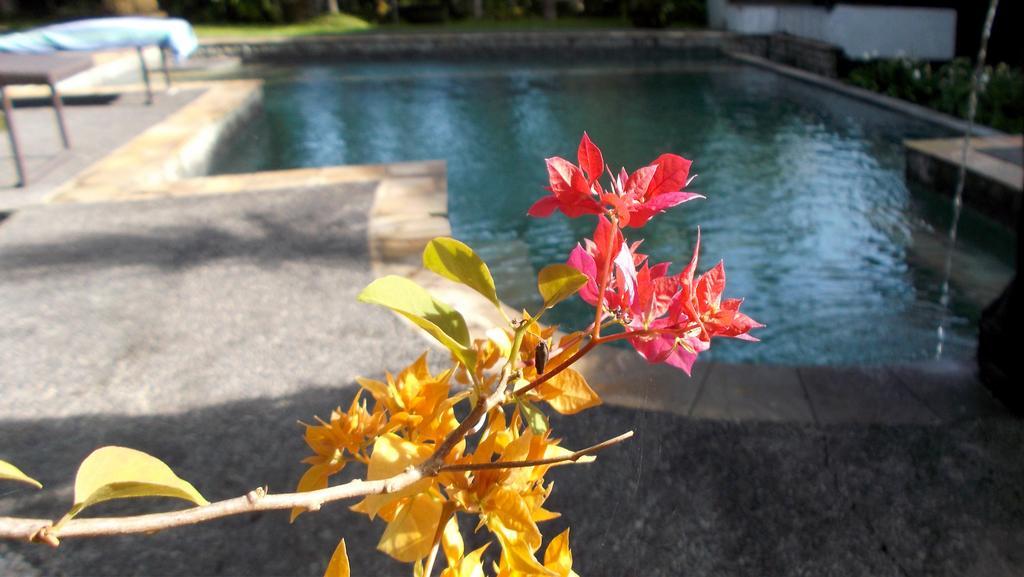 Villa Bella Ubud (Bali)